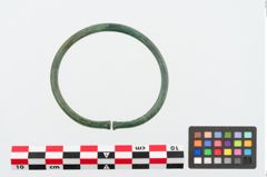 Foto von Bronzearmreif (NHMW-PRAE-024984)